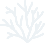 Sustainability tree illustration for Loes Maritime Solutions Pvt. Ltd.